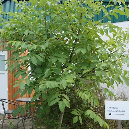 Lejlighed Haus Sonnenschein Ziegeleiweg Kuchelmiss